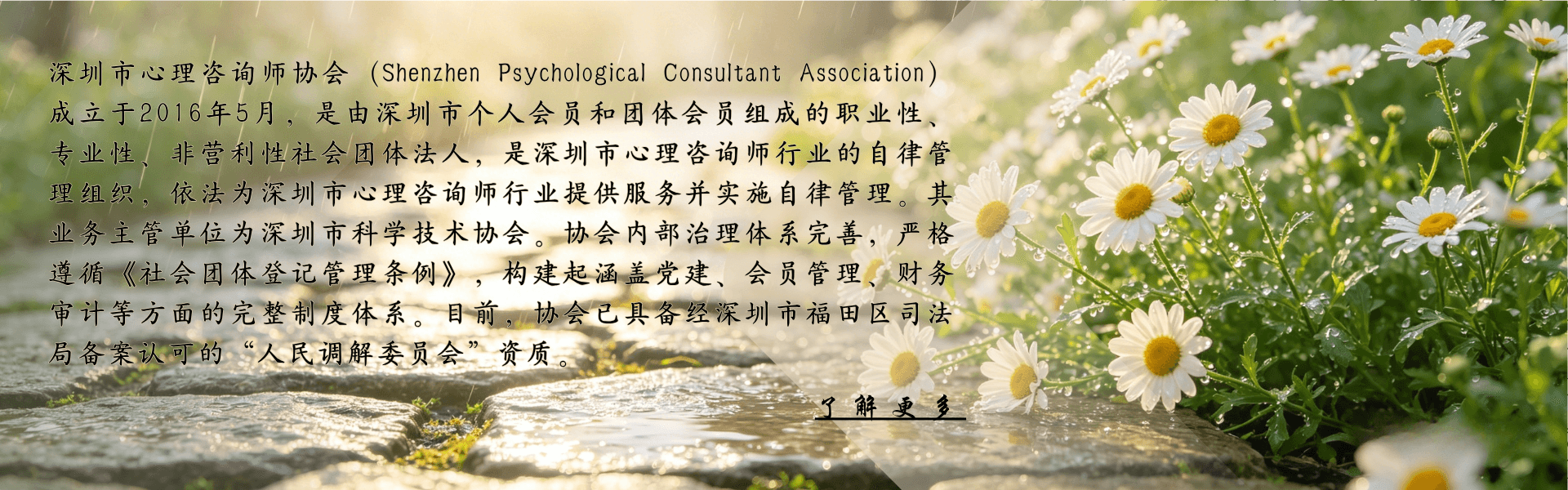 深圳市心理咨询师协会简介